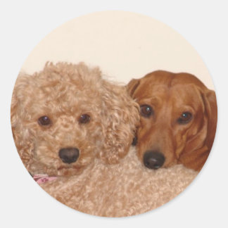 Sticker Rond Meilleurs