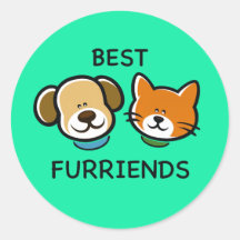 Meilleurs Furriends – Chien et chat mignons