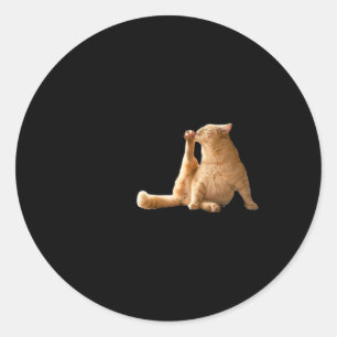 Sticker Rond Mème Cly Mince Très Dépourvu Mal Drôle Chat