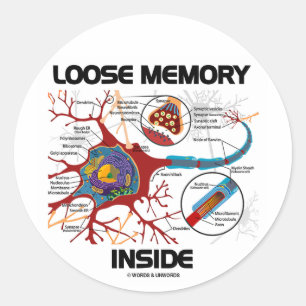 Sticker Rond Mémoire perdue à l'intérieur (Neuron / Synapse)
