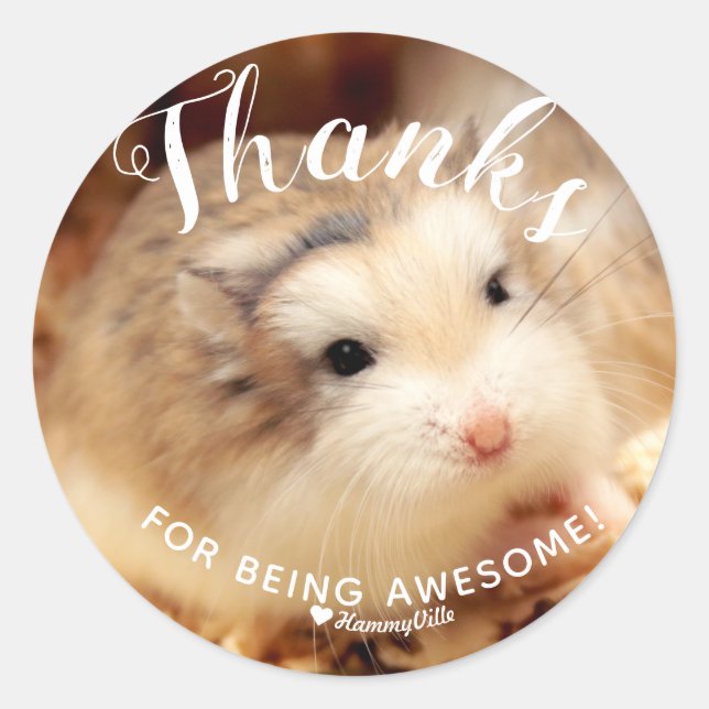 Sticker Rond Merci à Hamster pour être génial (Devant)