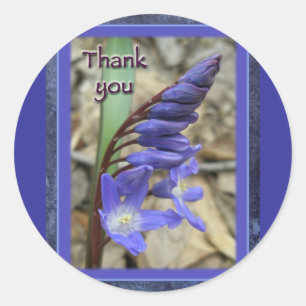 Sticker Rond Merci bleu sauvage Hyacinth