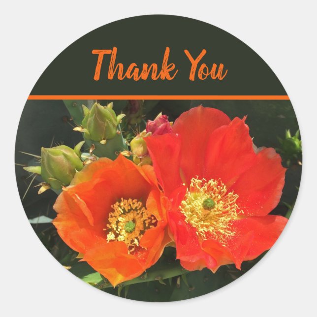 Sticker Rond Merci Cactus Fleurs Désert Florales (Devant)