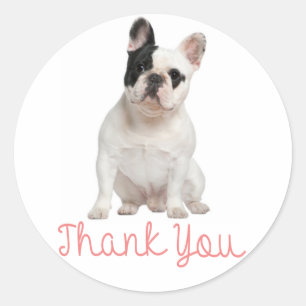 Sticker Rond Merci-Chien-Chien-Chien-Chien