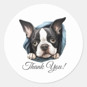 Sticker Rond Merci de chien de Boston Terrier
