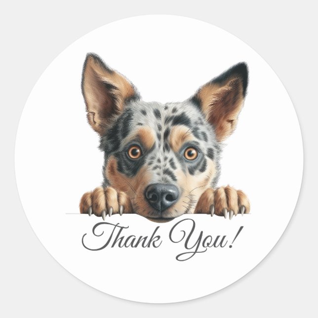 Sticker Rond Merci de chien mignon de bétail australien (Devant)