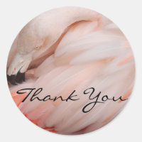 Merci de Flamant rose gracieux