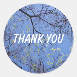 Sticker Rond Merci des arbres de printemps