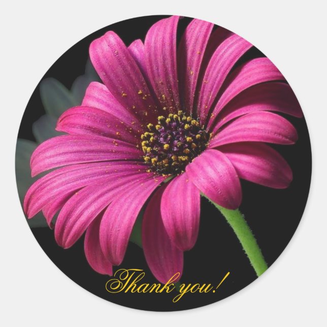 Sticker Rond Merci Gerber rose ! (Devant)