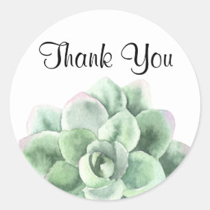 Sticker Rond Merci, Green Echeveria Succulent Plante