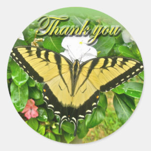 Sticker Rond Merci Homme Tigre Swallowtail Papillon articles