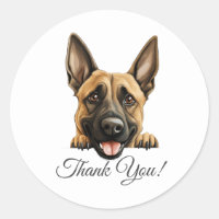 Merci Malinois de Chien mignon