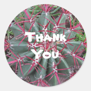 Sticker Rond Merci Rouge Vert Baril Cactus Appréciation
