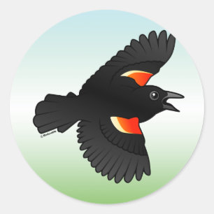 Sticker Rond Merle à ailes rouges volant