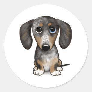 Sticker Rond Merle Dapple Dachshund mignon chien Wiener