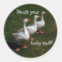 Mettez vos trucs funky !