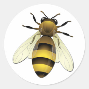 Sticker Rond Miel Bee