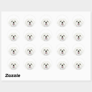 Sticker Rond mignon chien maltais blanc