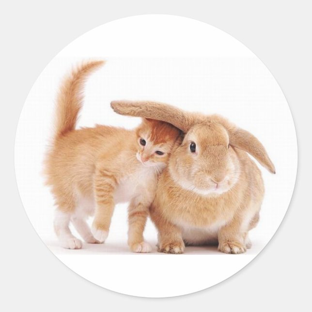 Sticker Rond mignonne_drôle_animaux_8 chaton lapin lapin amis (Devant)