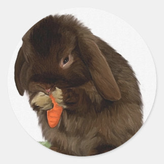 Sticker Rond Mini Lapin Lop et carotte