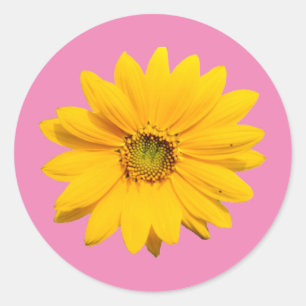 Sticker Rond Mini tournesol Jaune - Fleur de tournesol minuscul