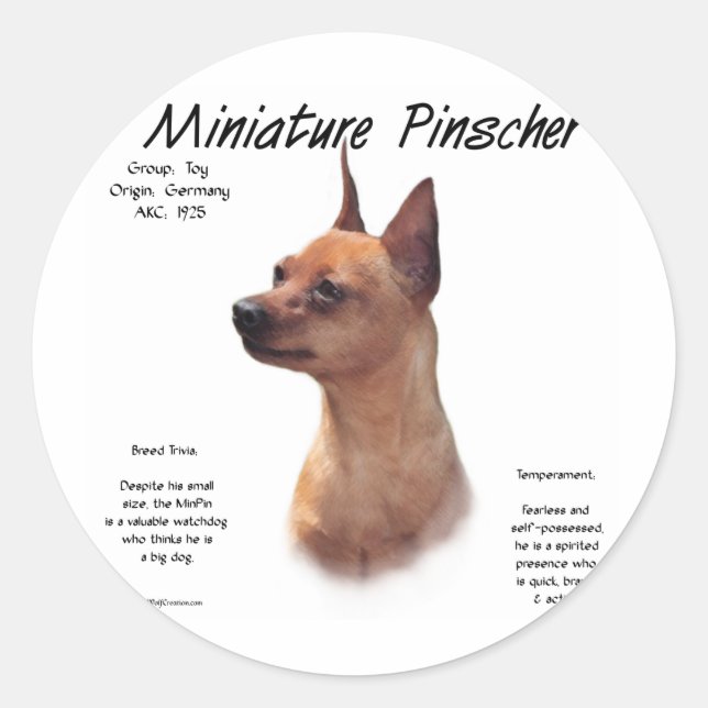 Sticker Rond Miniature Pinscher (rouge) (Devant)