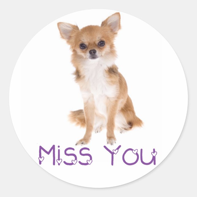 Sticker Rond Miss Chihuahua Chiot Puppy Penser que tu aimes (Devant)