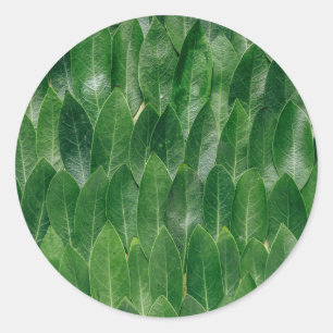 Sticker Rond Modèle vierge impression motif feuille verte