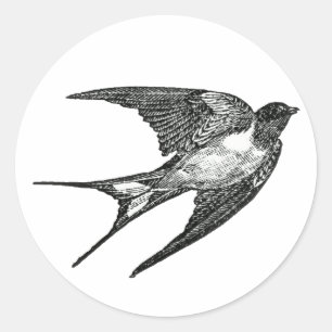 Sticker Rond moineau