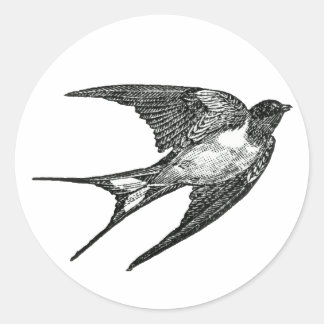 Sticker Rond moineau