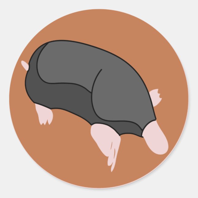 STICKER ROND MOLE1 (Devant)