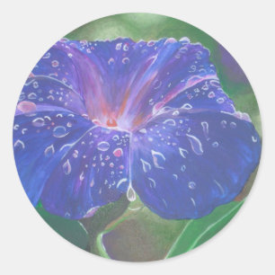 Sticker Rond Morning Glory (Ipomoea Purpurea) Petals et Dew Dr.