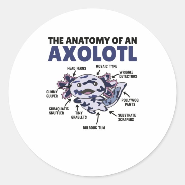 Sticker Rond Mosaïque Axolotl Explication Anatomie D'Un Axolotl (Devant)