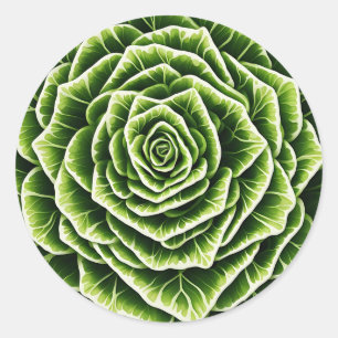 Sticker Rond Motif de laitue géométrique Mélange nature