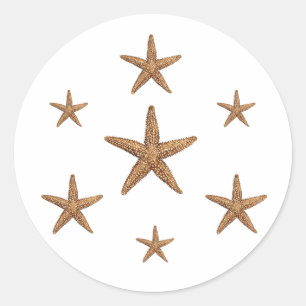 Sticker Rond Motif de poisson étoilé (géométrique)