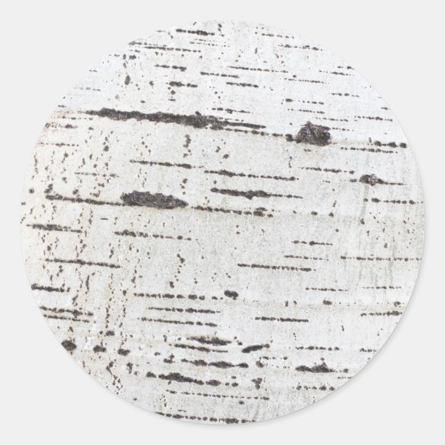 Sticker Rond Motif d'écorce de bouleau (Devant)