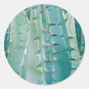 Sticker Rond Motifs d'une plante d'Agave