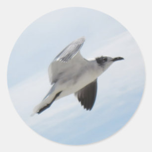 Sticker Rond Mouette volante