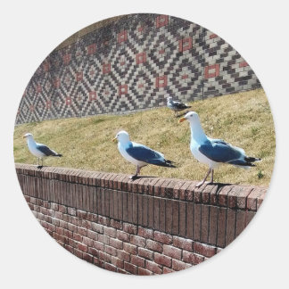 Sticker Rond Mouettes