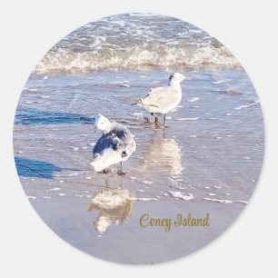 Sticker Rond Mouettes de l'île Coney