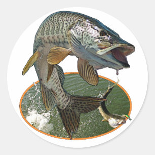 Sticker Rond Musy 6