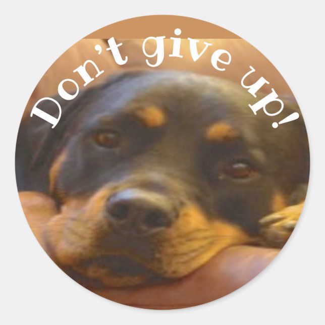 Sticker Rond N’abandonnez pas le chevalet rond Rottweiler class (Devant)
