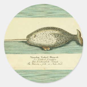 Sticker Rond Narwhal Antique Baleine Aquarelle Art scientifique