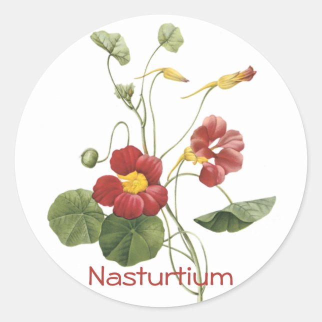 Sticker Rond Nasturtium (Devant)