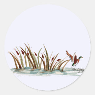 Sticker Rond Nature paisible Mallard Duck Scene