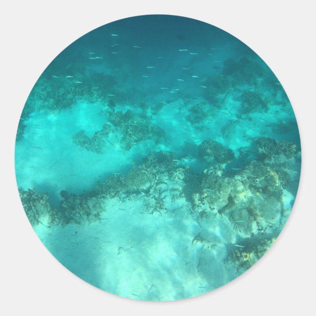 Sticker Rond Nature sous-marine (Devant)