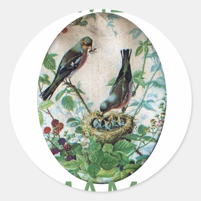 Sticker Rond Nest of Joy : L'amour du jeune esprit nourdissant  (Devant)