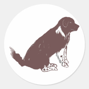 Sticker Rond newfie Brown et blanc