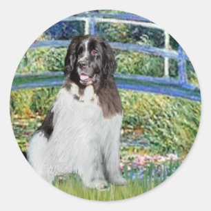 Sticker Rond Newfie Landseer3 - Pont