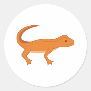 Sticker Rond Newt